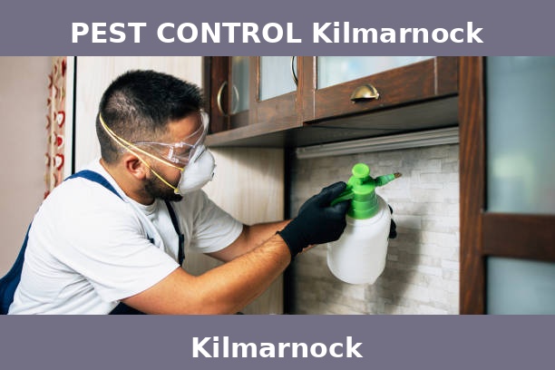 PEST CONTROL Kilmarnock